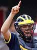 softball catchers helmet