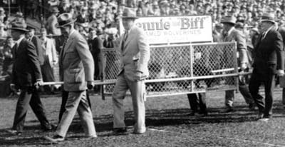 Bennie and Biff, wolverines