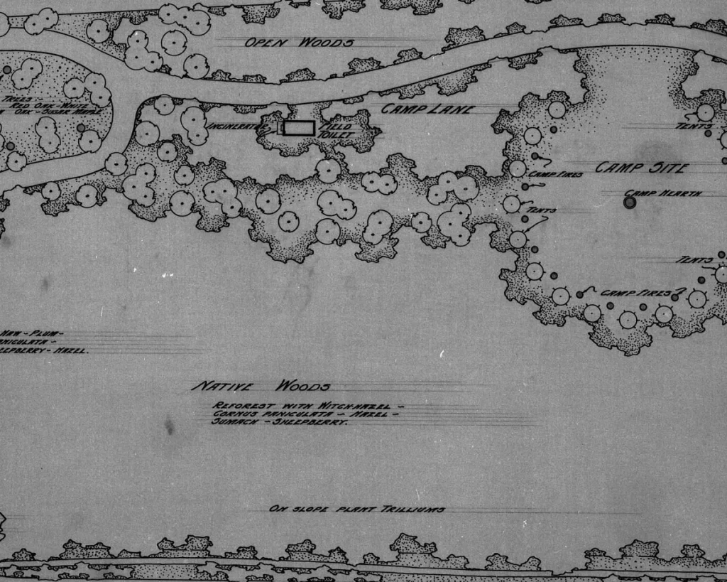 A black and white drawing of a landscape architecture project showing the location of woods and a road.